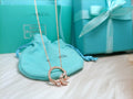 Tiffany Cubic Zirconia Vine Circle Pendant Platinum Necklace
